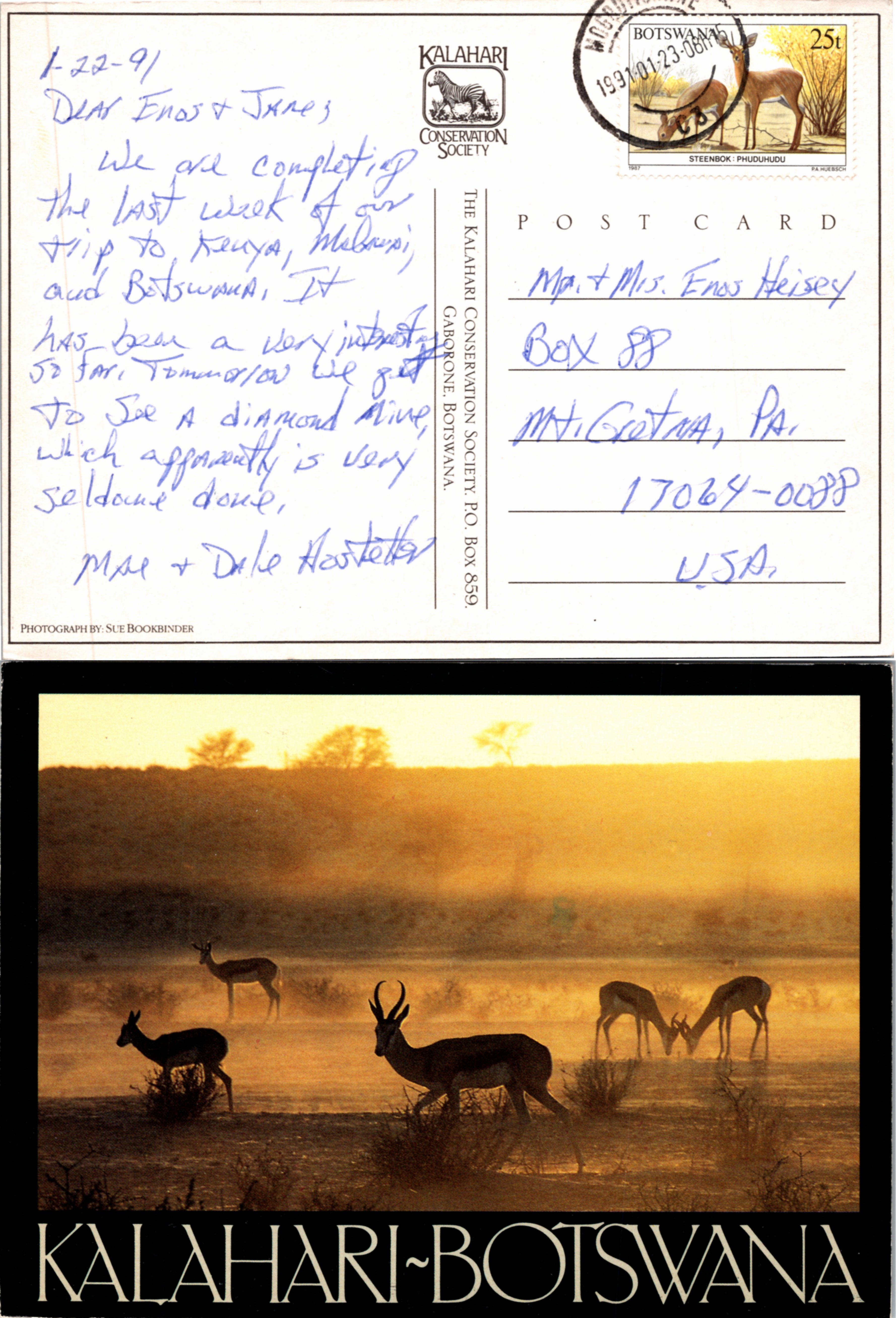 Botswana, Picture Postcards, Animals